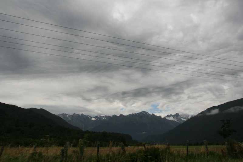 Nieuw-Zeeland 2011 - 1406